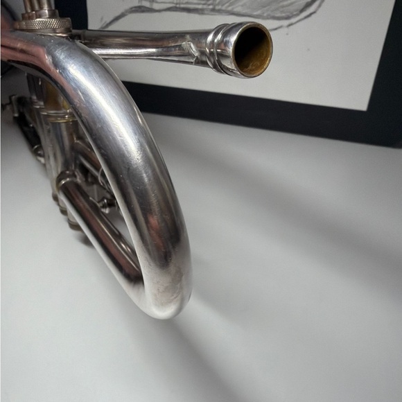 True Tone - Picture 5 of 16